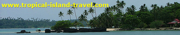 tropical-island-travel.de