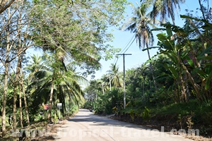 Koh Jum © tropical-travel.com