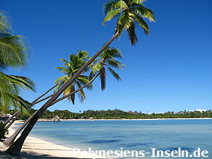 Fidschi