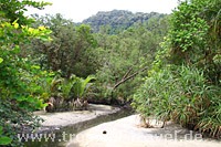Taman Negara Pulu Pinang