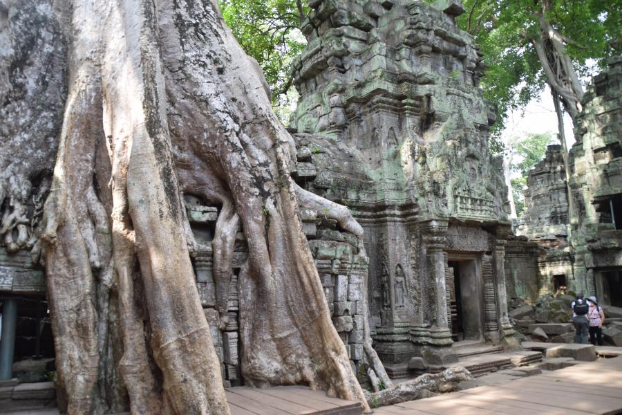 Angkor Taphrom Temple