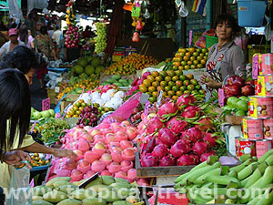 Bangkok, Thailand - tropical-travel.com