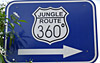 Jungle Route 360