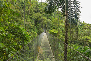 Baumkronenbrücke, Costa Rica © Dimitry Bulakov | 123RF.com