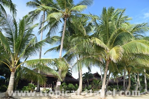 Maenam Resort, Maenam © tropical-travel.de