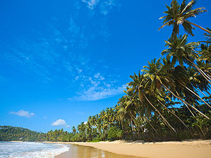 Sri Lanka beach © Dmitry Rukhlenko | Dremstime.com