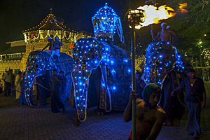 Perehera Festival, Kandy © Thomas Wyness | 123RF.com