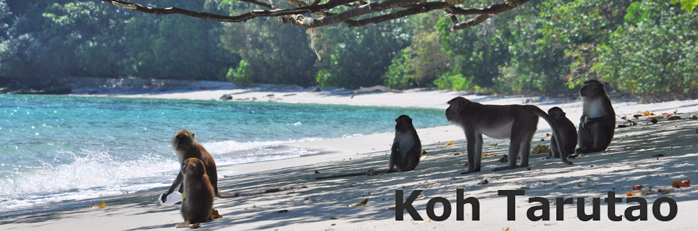 Koh Tarutao