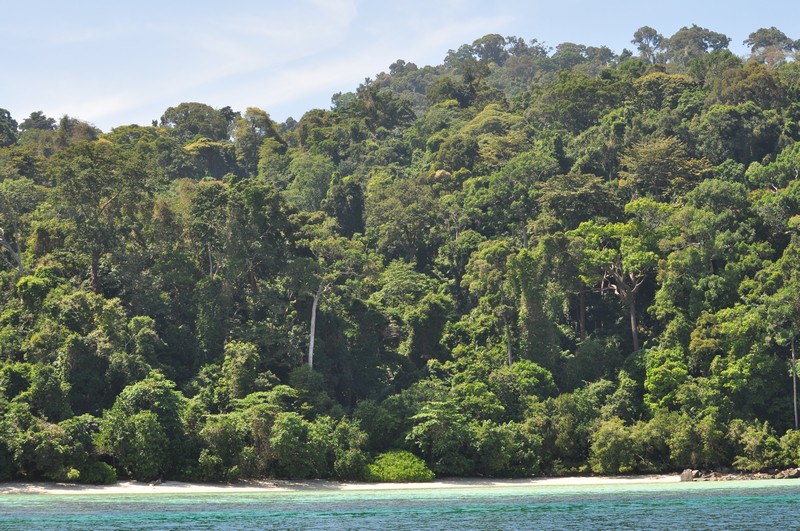 Koh Tong