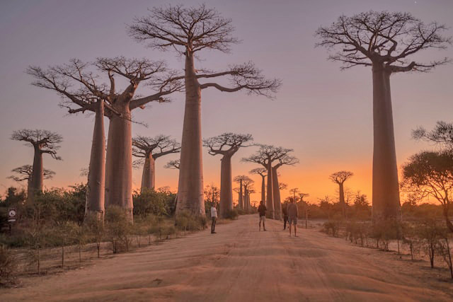 Madagaskar