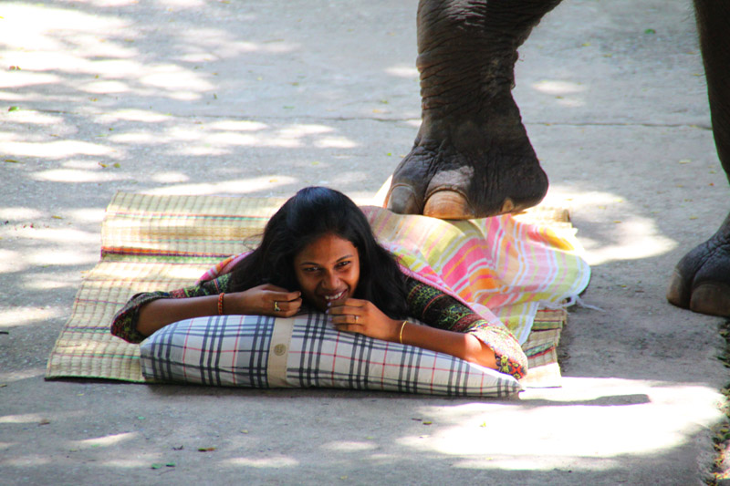 Pattaya Tigerpark