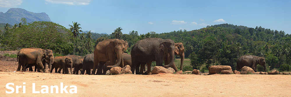 Sri Lanka