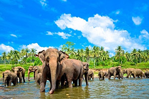 Sri Lanka Sri Lanka