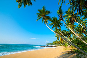 Sri Lanka Sri Lanka
